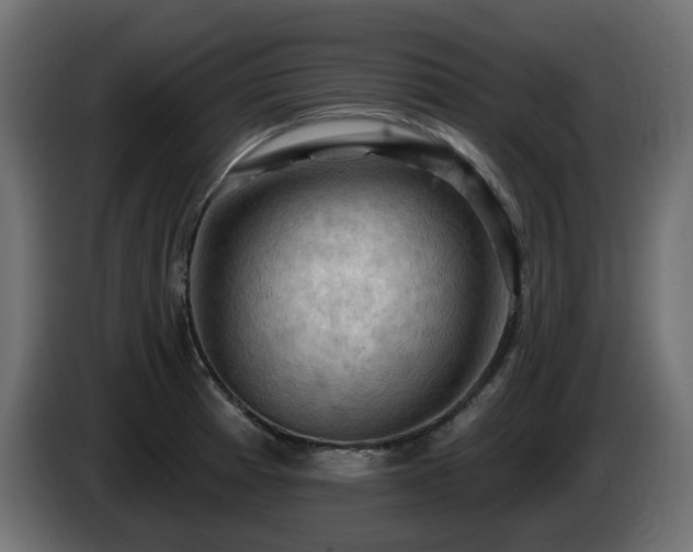 X0000085061185200703051432