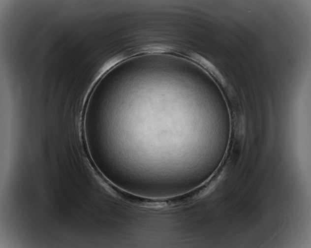 X0000085061186200703051432