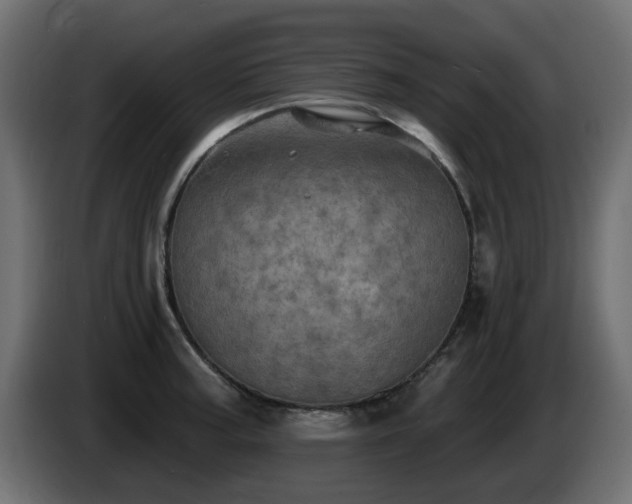 X0000085061187200703051432