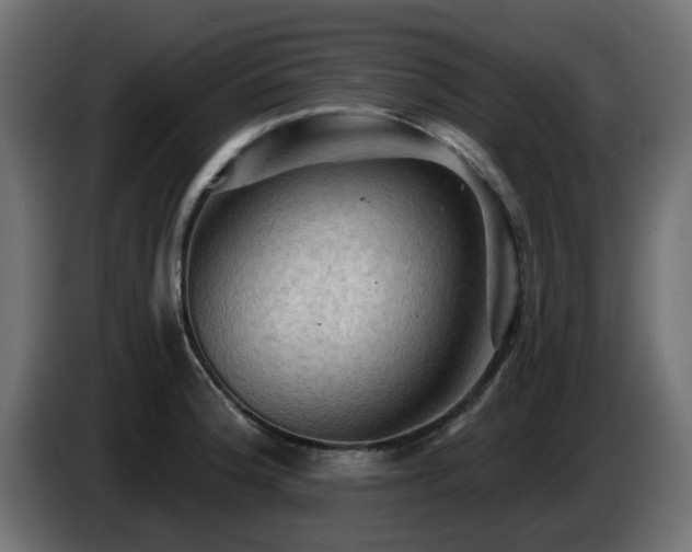 X0000085061188200703051432