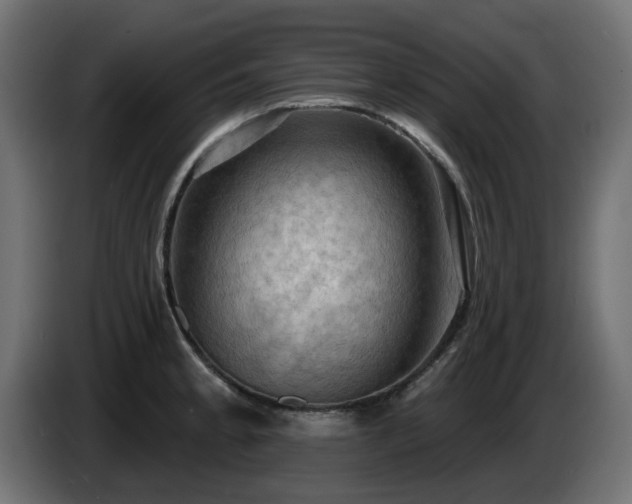X0000085061189200703051432
