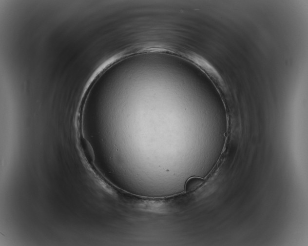 X0000085061190200703051432