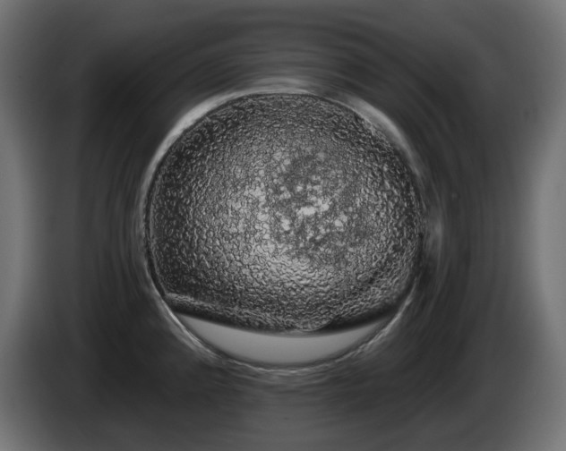 X0000085061192200703051432