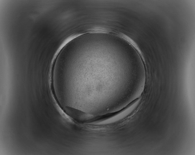 X0000085061195200703051432