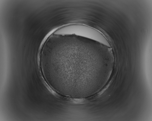 X0000085061196200703051432