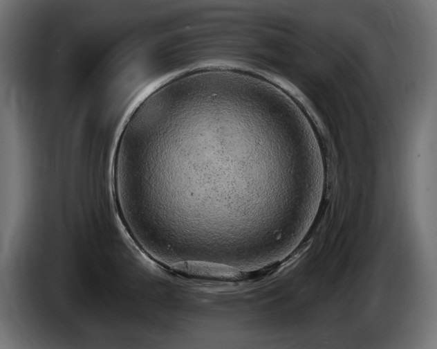 X0000085061199200703051432