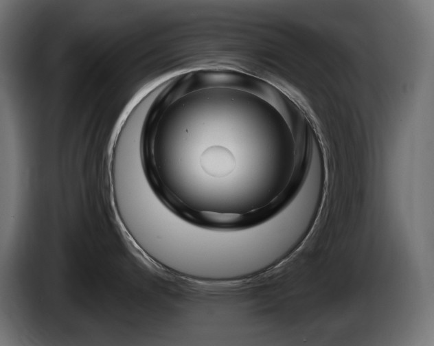 X0000085061200200703051432