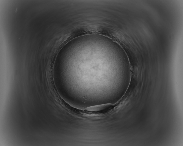 X0000085061201200703051431