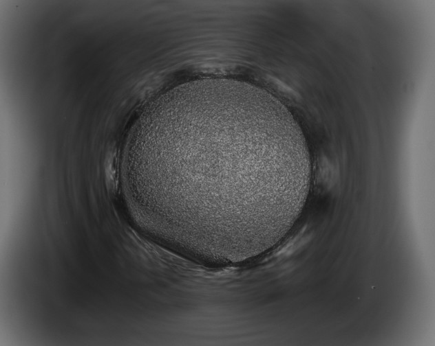 X0000085061202200703051431
