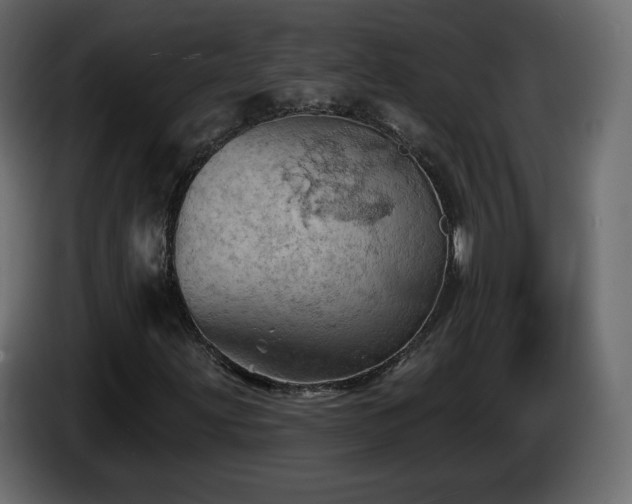 X0000085061203200703051431