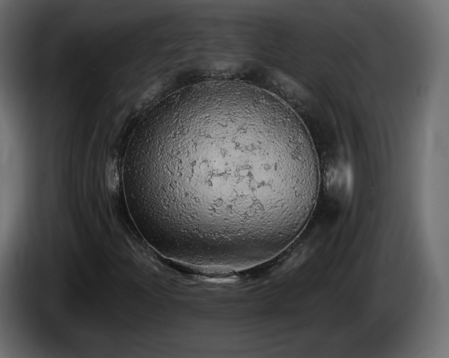X0000085061204200703051431