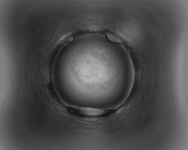 X0000085061205200703051431