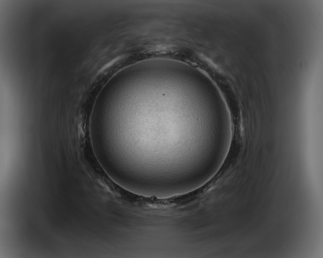 X0000085061206200703051431