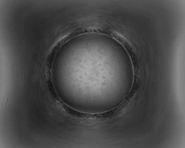 X0000085061207200703051431