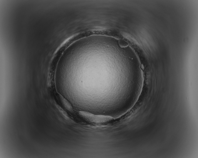 X0000085061208200703051431