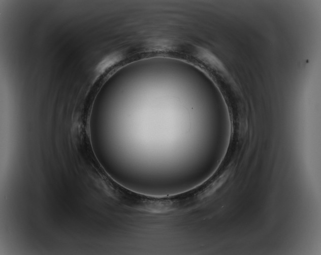 X0000085061210200703051431