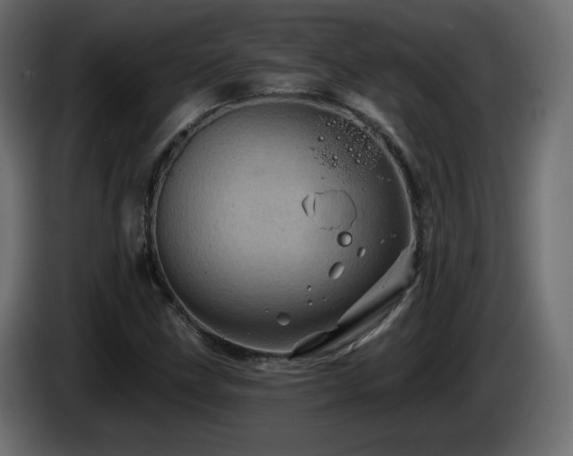 X0000085061211200703051431