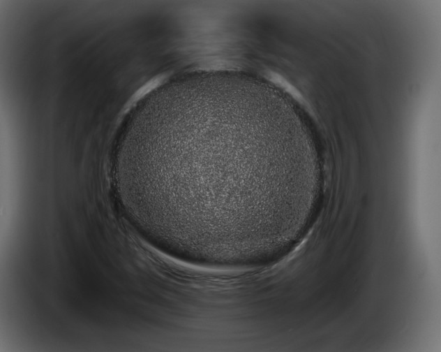X0000085061213200703051431
