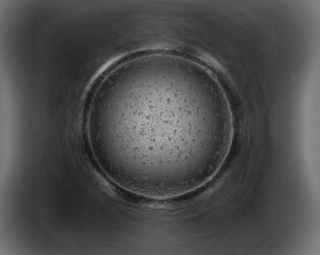 X0000085061216200703051431