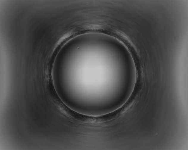 X0000085061218200703051431