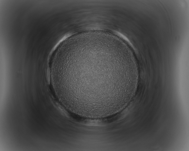 X0000085061219200703051431