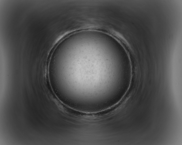 X0000085061220200703051431
