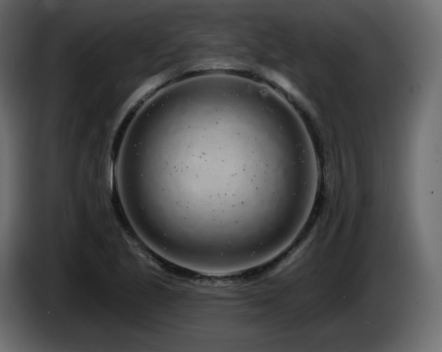 X0000085061221200703051431