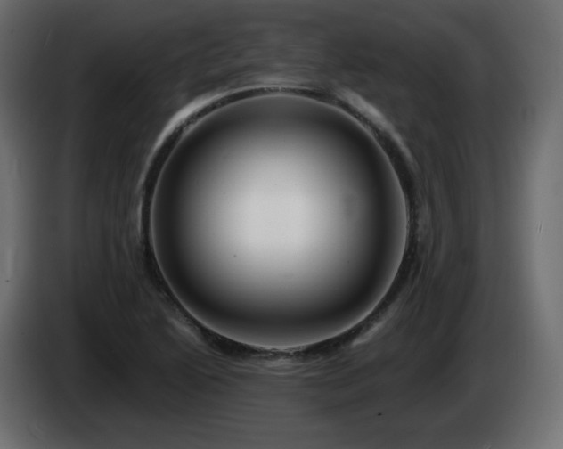 X0000085061222200703051432