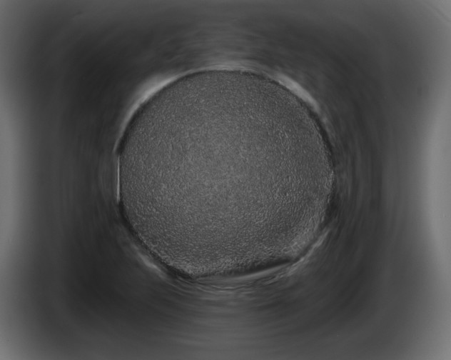 X0000085061223200703051432
