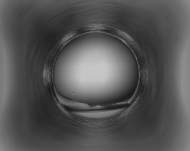 X0000085061225200703051432