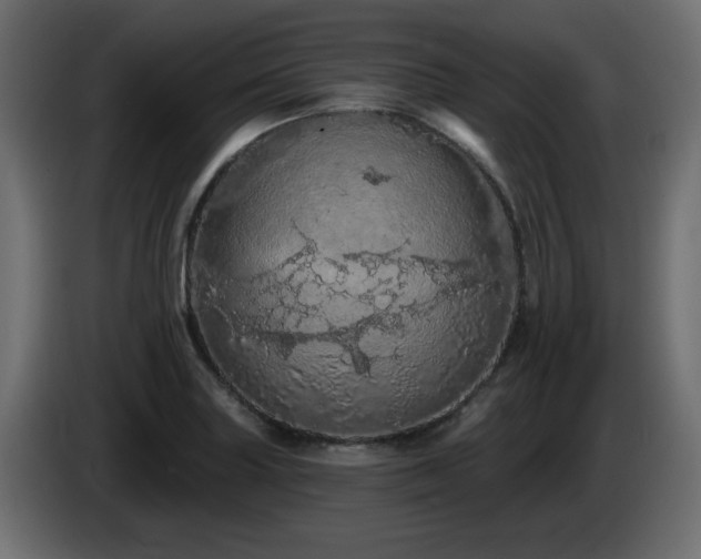 X0000085061227200703051432