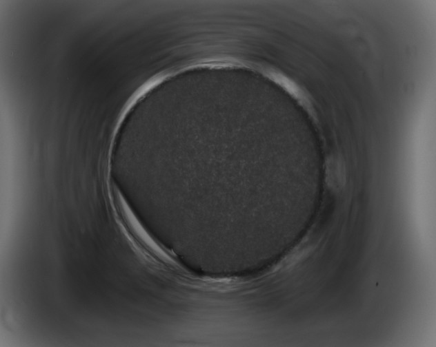 X0000085061229200703051432