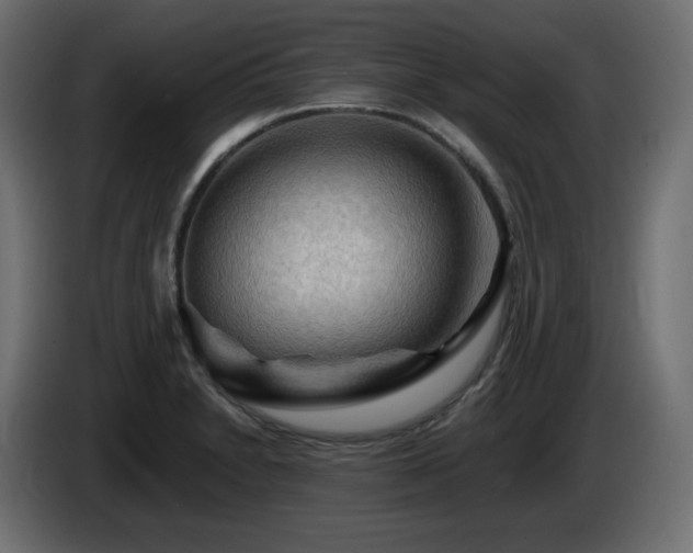 X0000085061230200703051432