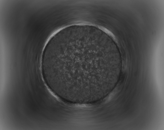 X0000085061231200703051432