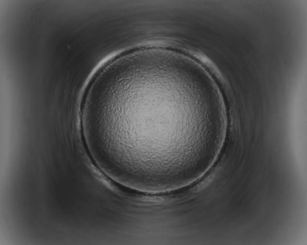 X0000085061232200703051432