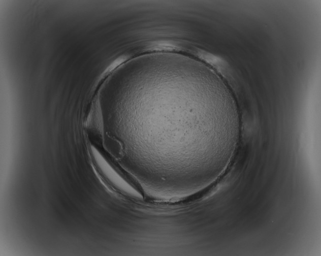 X0000085061233200703051432