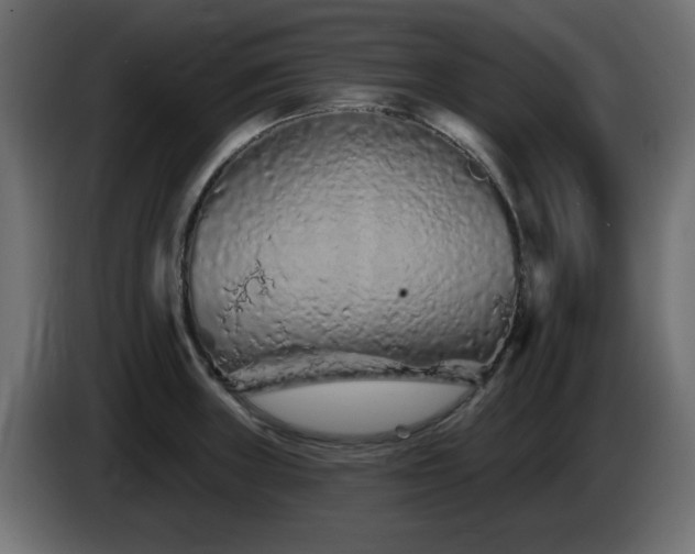 X0000085061235200703051432