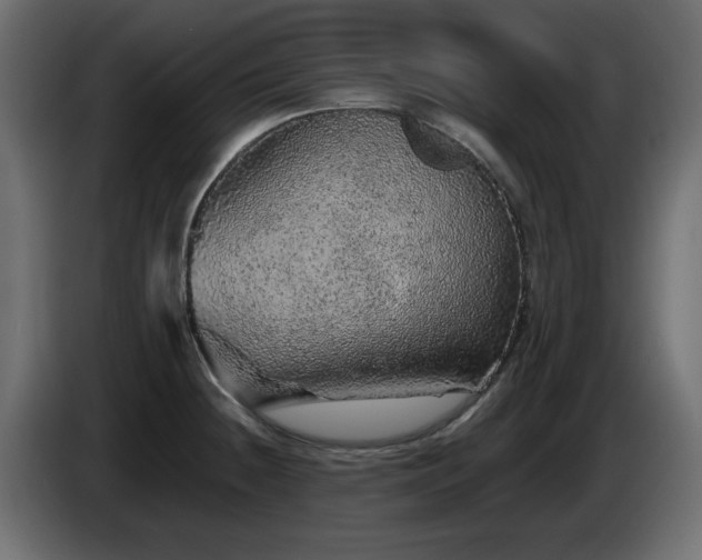 X0000085061236200703051432