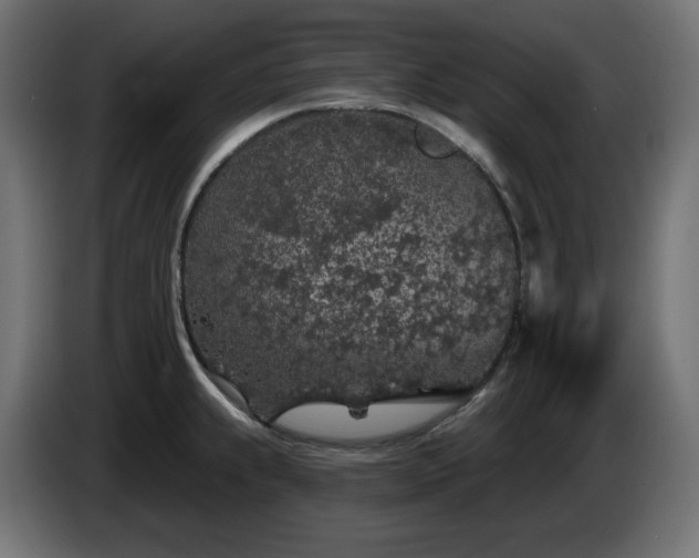 X0000085061239200703051432