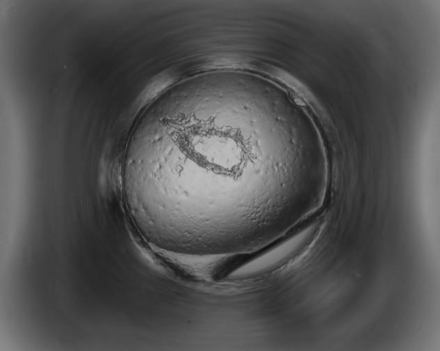 X0000085061241200703051432