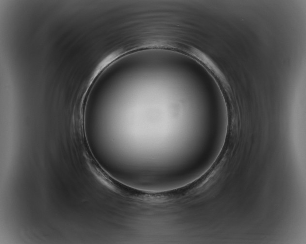 X0000085061242200703051432