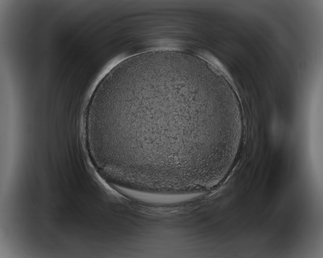 X0000085061243200703051432