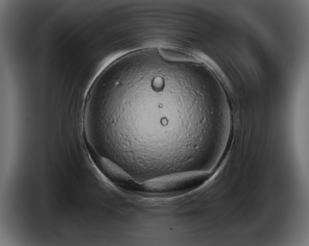 X0000085061244200703051432