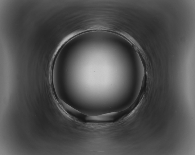 X0000085061246200703051432