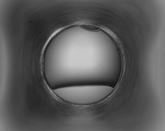 X0000085061248200703051432