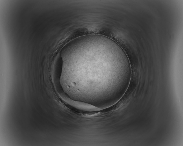 X0000085061249200703051431