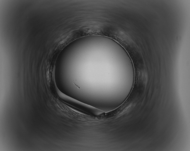 X0000085061250200703051431