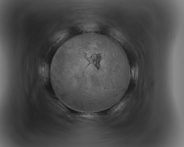 X0000085061251200703051431