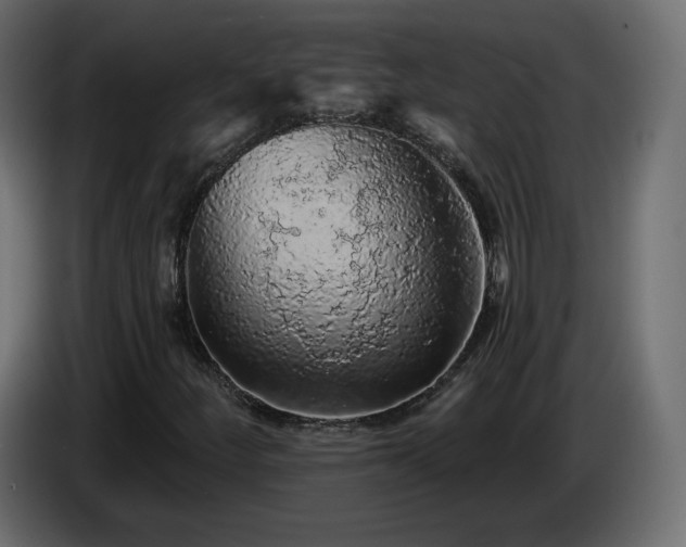 X0000085061252200703051431