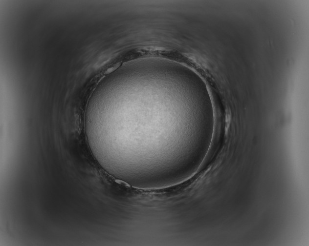 X0000085061253200703051431